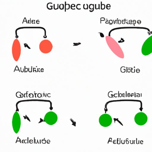 The Ultimate Guide: Which Stage of Glucose Metabolism Produces the Most ATP?