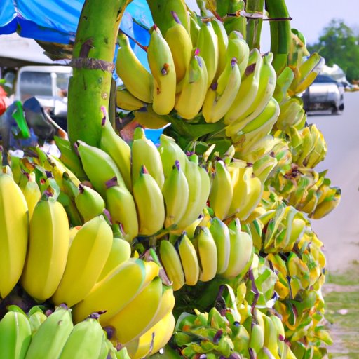 Why are Bananas Bad Luck on a Boat? The Truth Behind the Superstition