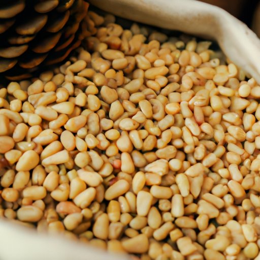 Why Are Pine Nuts So Expensive? Exploring the Factors Behind the Cost of this Delicious Seed