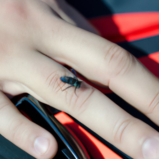 Why Do Flies Bite? Understanding the Science and Remedies for Fly Bites