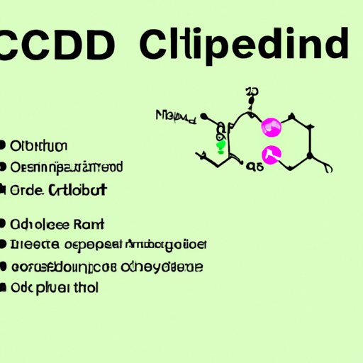 Why Does CBD Make You Hungry? Exploring the Science and Personal Experience