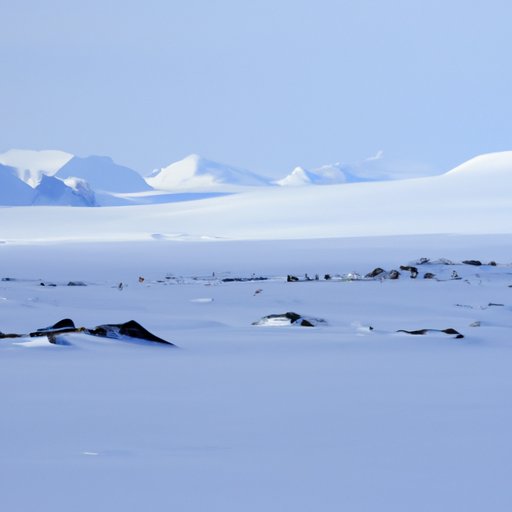 Why is Antarctica a Desert? Exploring the Science Behind its Dry Landscape
