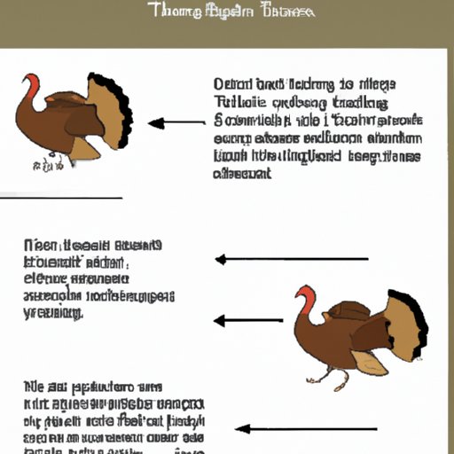 Why Turkey on Thanksgiving: History, Cooking Tips, Nutritional Value, and More