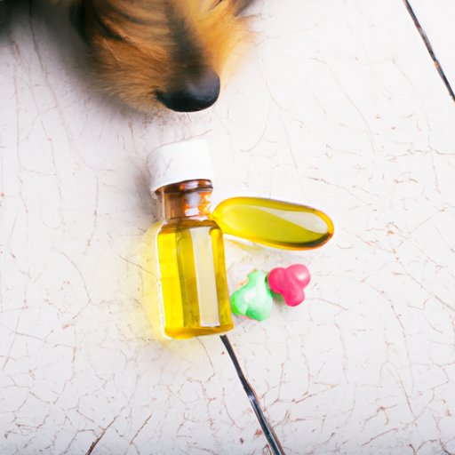 Will CBD Calm Down My Dog? Understanding the Benefits and Administration