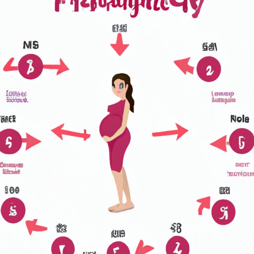 The Ultimate Guide to the 24th Week of Pregnancy: What to Expect and How to Stay Healthy