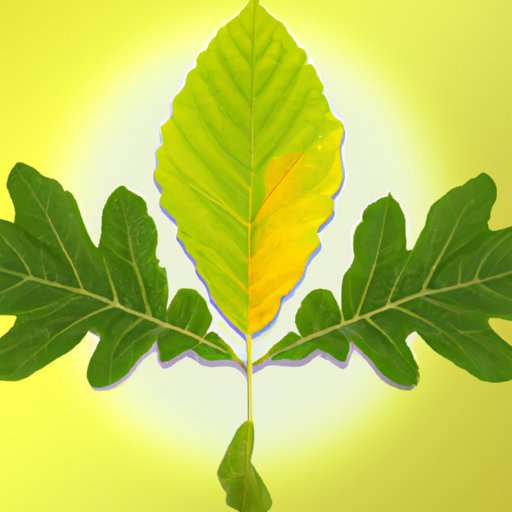 The Benefits of Mutualism: Exploring Symbiotic Relationships in Nature and Beyond