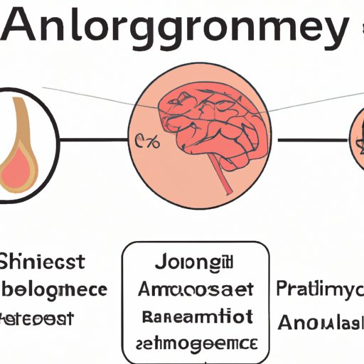 The Role of Pituitary Gland in Managing Growth Hormones in Acromegaly