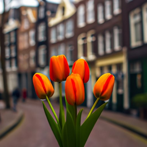 Amsterdam: A Complete Guide to the Hidden Gem of the Netherlands