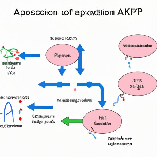 Unlocking the Mystery of Cellular Respiration: A Guide to Understanding This Essential Process