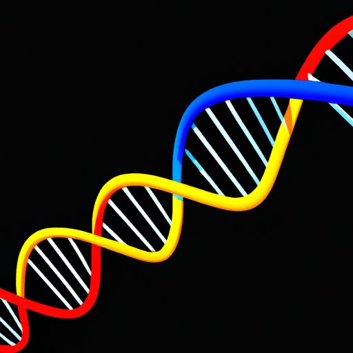 Exploring DNA: The Ultimate Macromolecule of Life