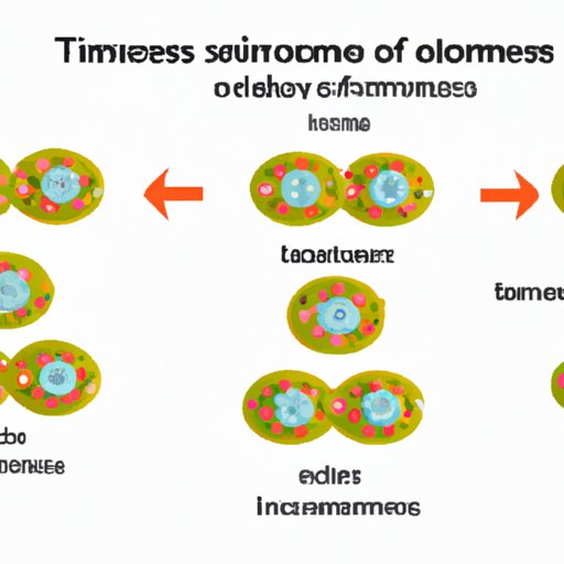 The Incredible Process of Chromosome Condensation during the Cell Cycle