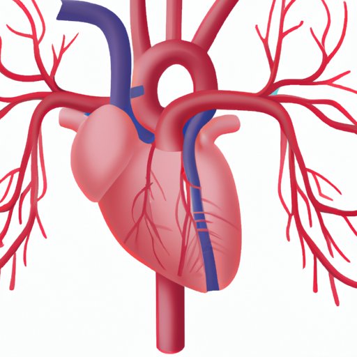 Why Arteries Should Be Considered an Organ: A New Understanding of Vascular Function