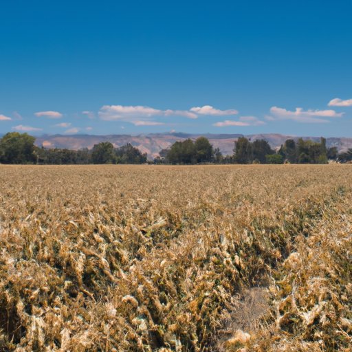 Fresno California: Unveiling its County and Importance