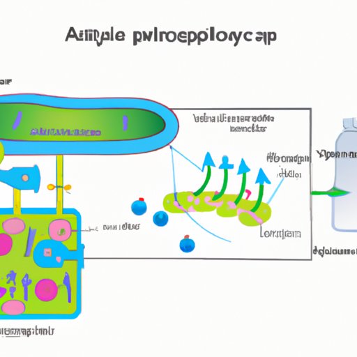 The Intracellular Location of Glycolysis: Where it Occurs and Why it Matters