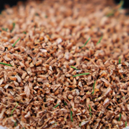 How Long Does Grass Seed Take to Grow: A Comprehensive Guide
