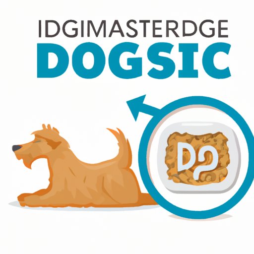 How Long Does It Take a Dog to Digest Food? Factors That Affect Digestion and Tips for Promoting Digestive Health