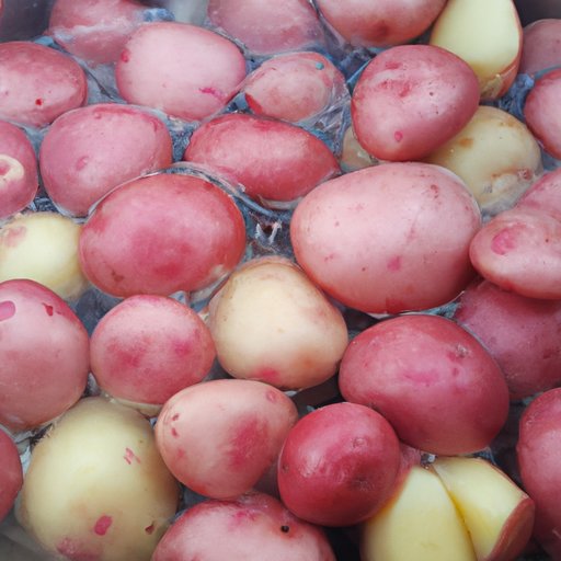 The Ultimate Guide: How Long to Boil Red Potatoes For Maximum Flavor and Texture