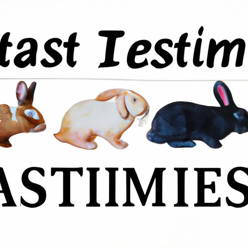 The Tragic Cost of Animal Testing: How Many Animals Die and What Are the Alternatives?