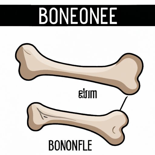 The Miracle of Baby Bones: Understanding Infant Bone Development