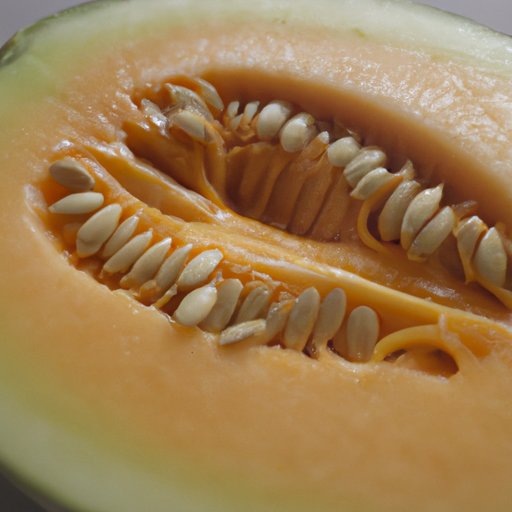 The Carb Content of Cantaloupe: A Closer Look at the Nutritious Fruit