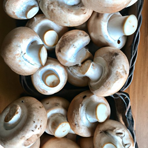 How Many Carbs in Mushrooms: A Comprehensive Guide for Low-Carb Diets
