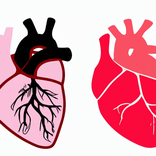 The Four Chambers of the Heart: Anatomy, Function, and Evolution