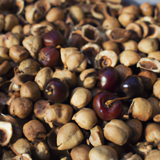 How Many Cherry Pits are Toxic to Humans: Understanding the Risks