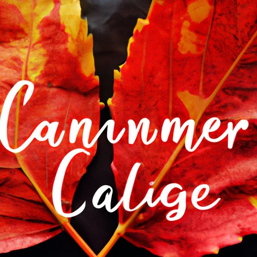 How Many Days in Summer: Understanding the Seasons and Maximizing Your Time