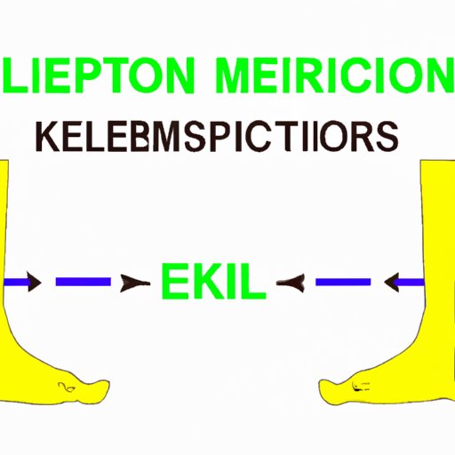 How Many Feet Are in a Kilometer: A Complete Guide