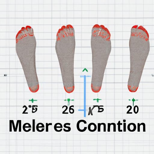 How Many Feet in 1 Meter? Simple Conversions and Comprehensive Guide