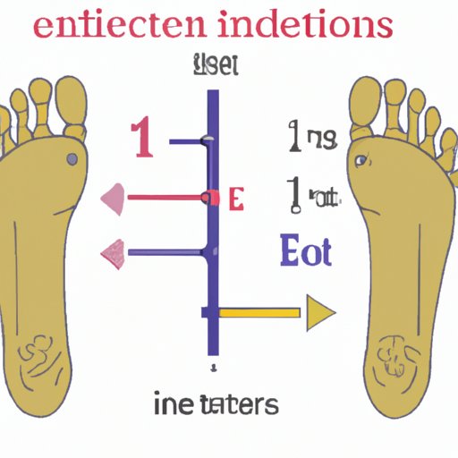 How Many Feet in 12 Inches: Understanding and Converting Measurements