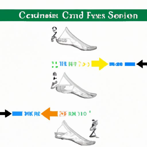 How Many Feet is 30 Inches? A Beginner’s Guide to Converting Measurements