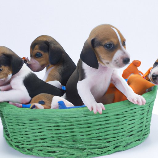 How Many Litters Can a Dog Have? Understanding the Factors That Affect Litter Size