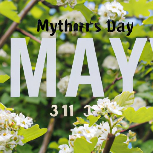 Countdown to May: How Many Months Left Until Spring’s Arrival?