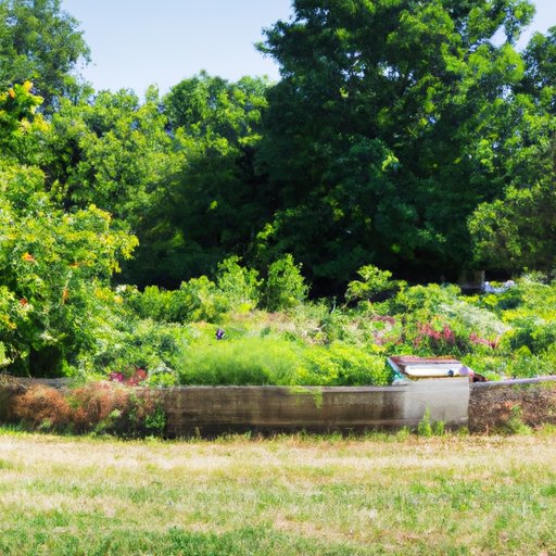 How Many Square Feet in a Quarter Acre: Understanding Size and Land Use