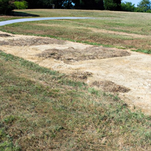 How to Convert Acres to Square Feet: A Beginner’s Guide