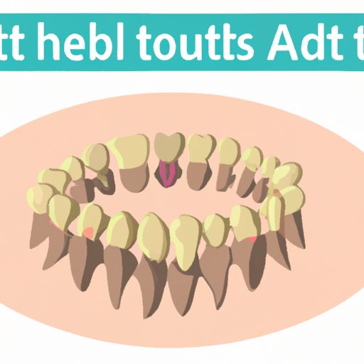 How Many Teeth Do Adults Have and How to Keep Them?