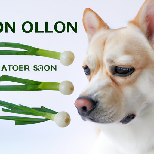 How Much Onion is Toxic to Dogs? A Pet Owner’s Guide