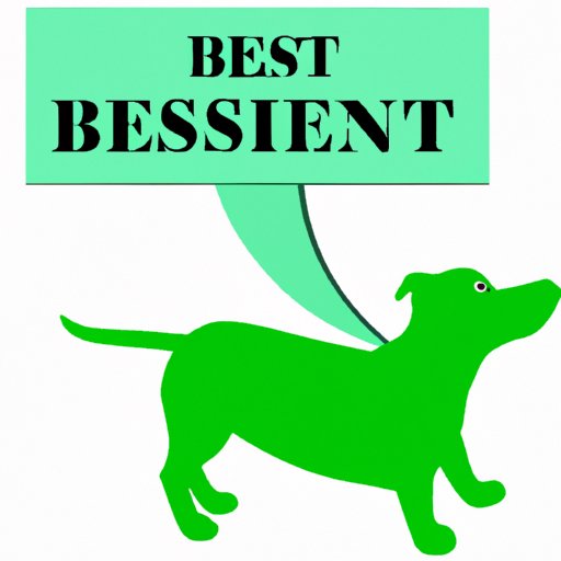 The Cost and Benefits of Spaying a Dog: A Guide for Pet Owners