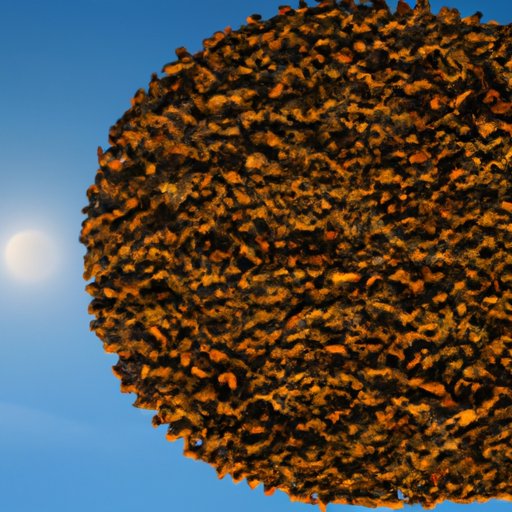 The Real Cost of Ending World Hunger: Understanding the Economic and Social Implications