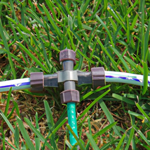 How to Adjust Rainbird Sprinkler Heads: A Step-by-Step Guide