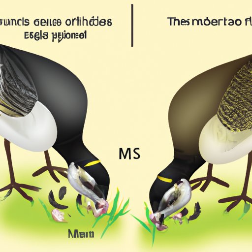 How to Breed Rare Noggin: A Step-by-Step Guide