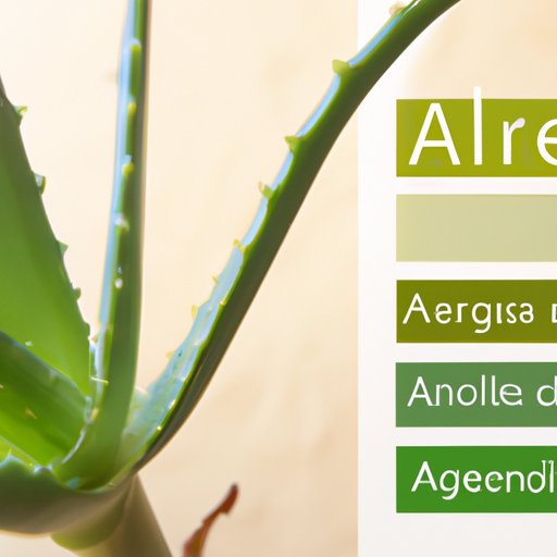 The Ultimate Guide to Aloe Plant Care: Tips and Tricks for Thriving Succulents