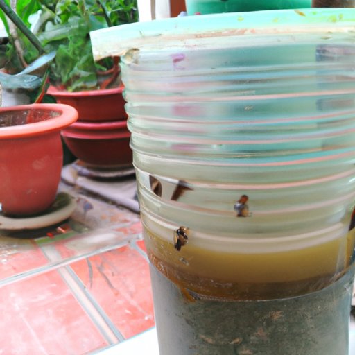 How to Catch Fruit Flies: DIY Traps, Chemical-Free Methods, and More