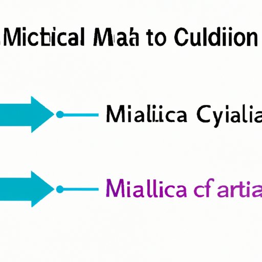 How to Cite in MLA: A Complete Guide for Students
