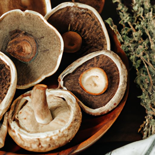 How to Cook Portobello Mushrooms: Delicious Tips, Recipes, and Techniques