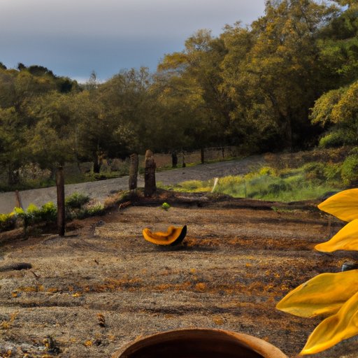 5 Simple Ways to Cook Delicious Pumpkin: A Beginner’s Guide with Expert Tips and Recipes