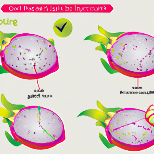 How to Cut Dragon Fruit: A Step-by-Step Guide with Recipes