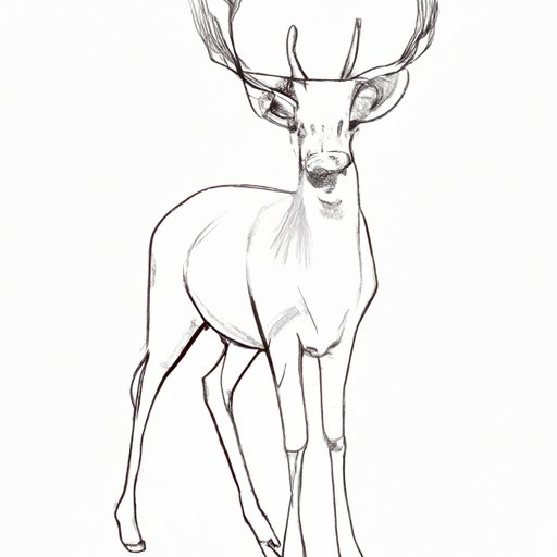 How to Draw a Deer: Tips and Techniques for Success