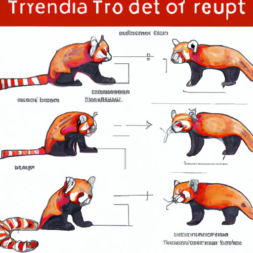 How to Draw a Red Panda: A Step-by-Step Guide to Capturing This Adorable Animal